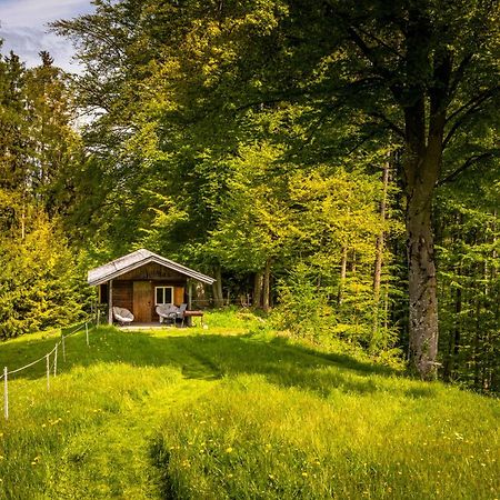 Ferienwohnung Vorderreithbauer Hof bei Salzburg Exterior foto